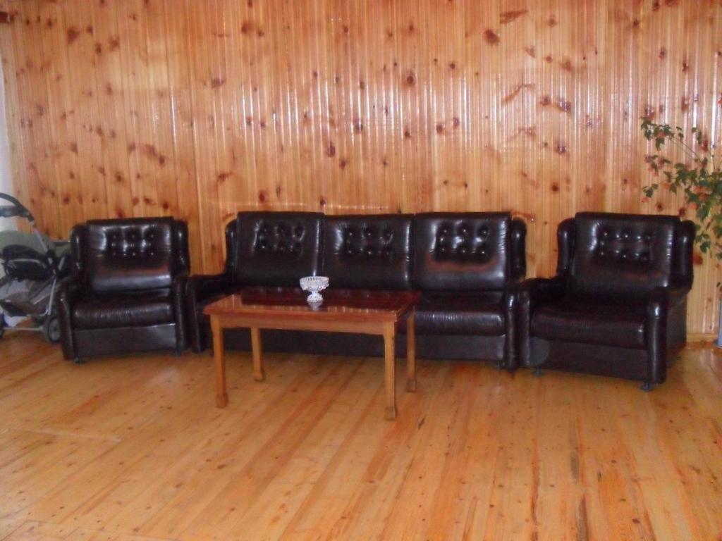 Guest House Vivaushba Bagvdanari Luaran gambar