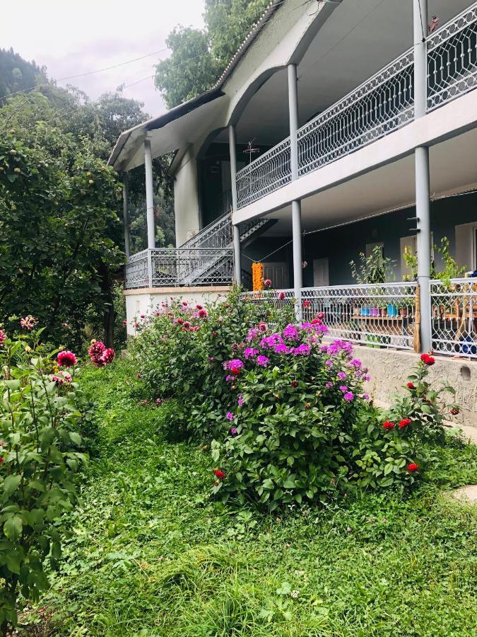 Guest House Vivaushba Bagvdanari Luaran gambar